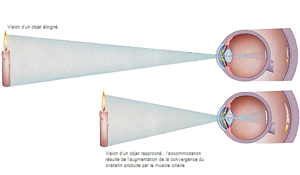 Pourquoi Et Comment L Oeil Accommode CQKXSW pourquoi-et-comment-l-oeil-accommode-cqkxsw