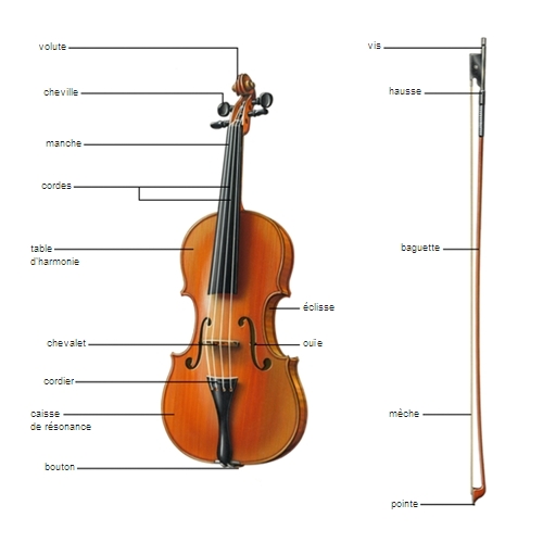 Le violon et les instruments à cordes 