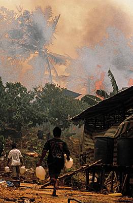 Feu de forêt, Bornéo, 1998