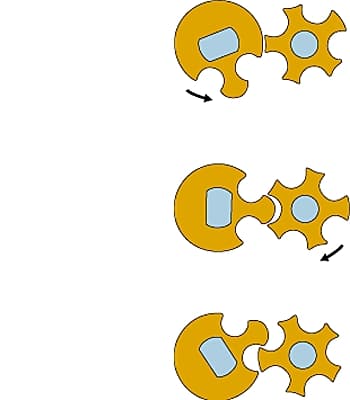 Arrêtage à croix de Malte