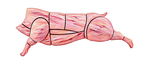 Morceaux de boucherie du porc