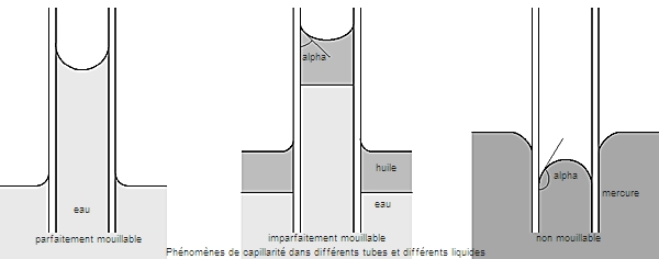 capillarité - LAROUSSE