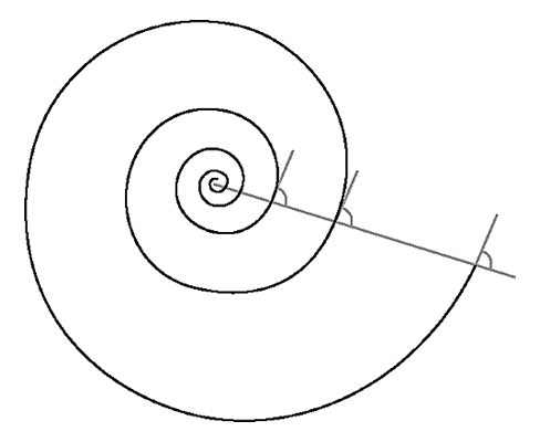Spirale logarithmique Spirale logarithmique