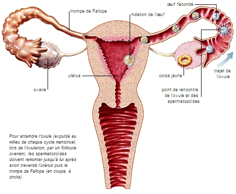 rencontre definition larousse