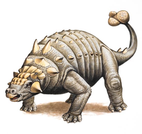 Ankylosaure