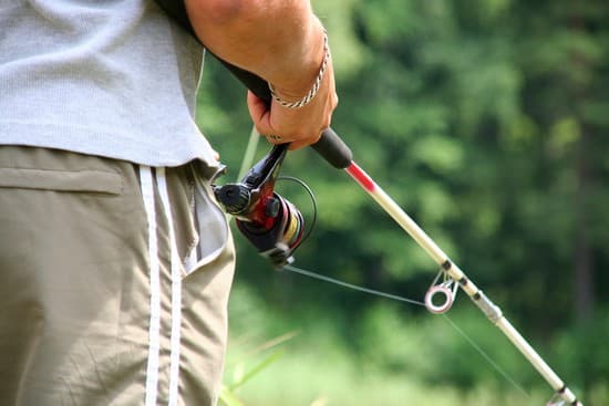 Pêche à la ligne Pêche à la ligne