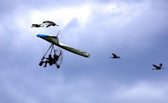 'Aéronel motorisé pendulaire