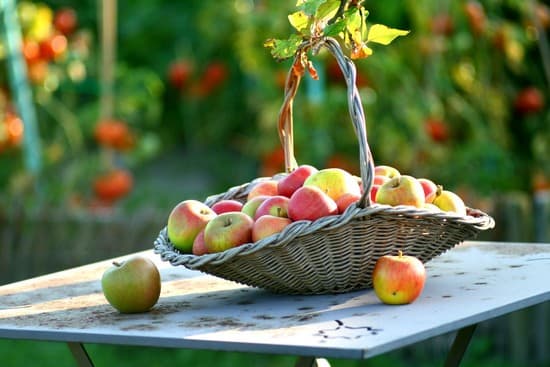 Panier en osier garni de pommes