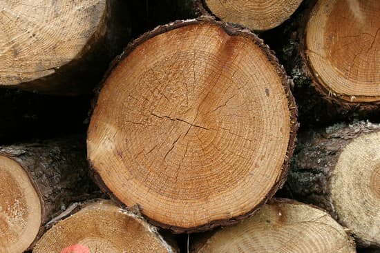 Troncs d'arbres coupés en rondins