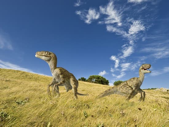 Reproduction de vélociraptores