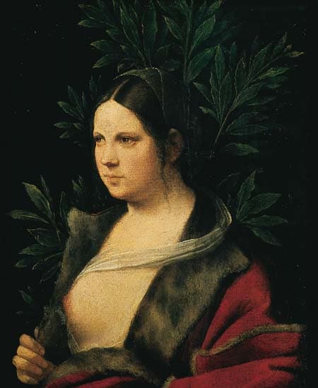 Giorgione, Laura