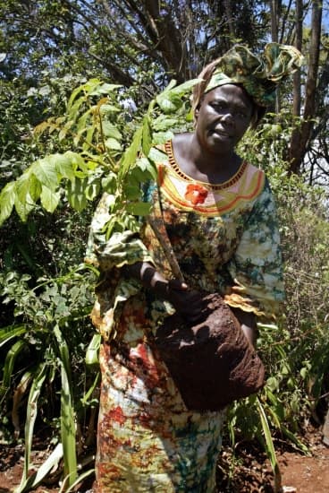 Wangari Maathai au Kenya en 2004