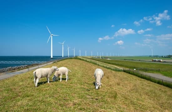 Polders de l'IJsselmeer