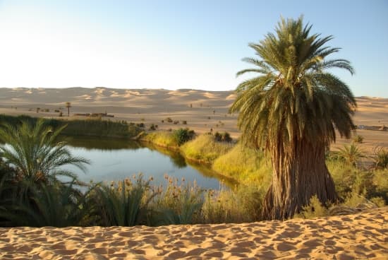 Lac d'oasis au Sahara