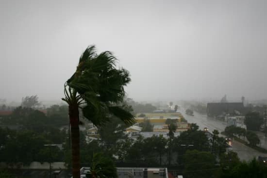 Ouragan Katrina, La Nouvelle-Orléans, 2005