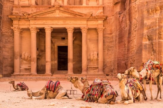 dromadaires à Petra