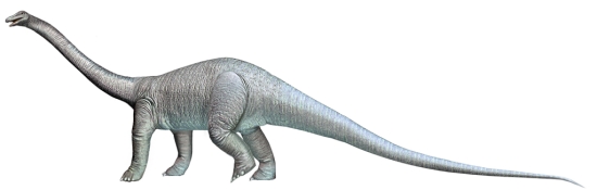 Diplodocus