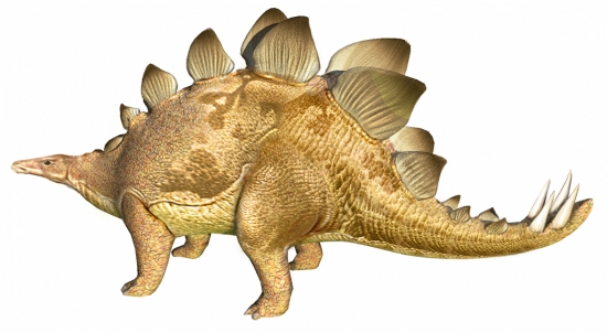 Stegosaure
