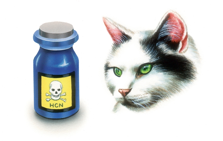 Cyanure d'hydrogène et expérience du chat de Schrödinger (théorique)
