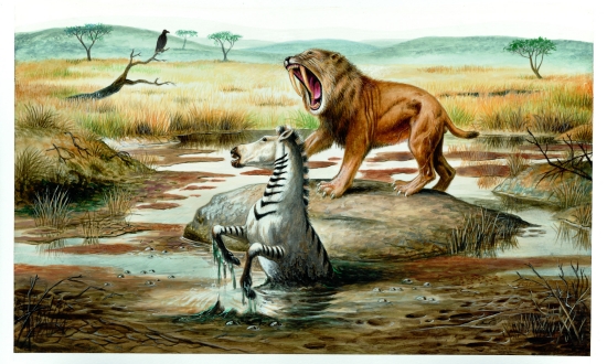 Smilodon et hipparion