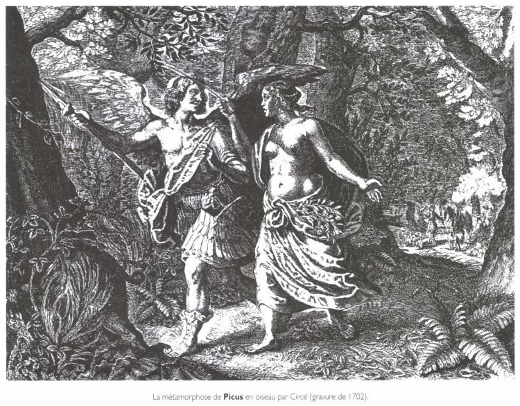 La métamorphose de Picus en oiseau par Circé. La métamorphose de Picus en oiseau par Circé.