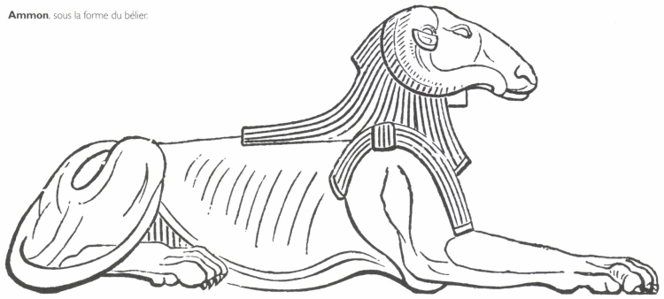 Ammon, sous la forme du bélier. Ammon, sous la forme du bélier.