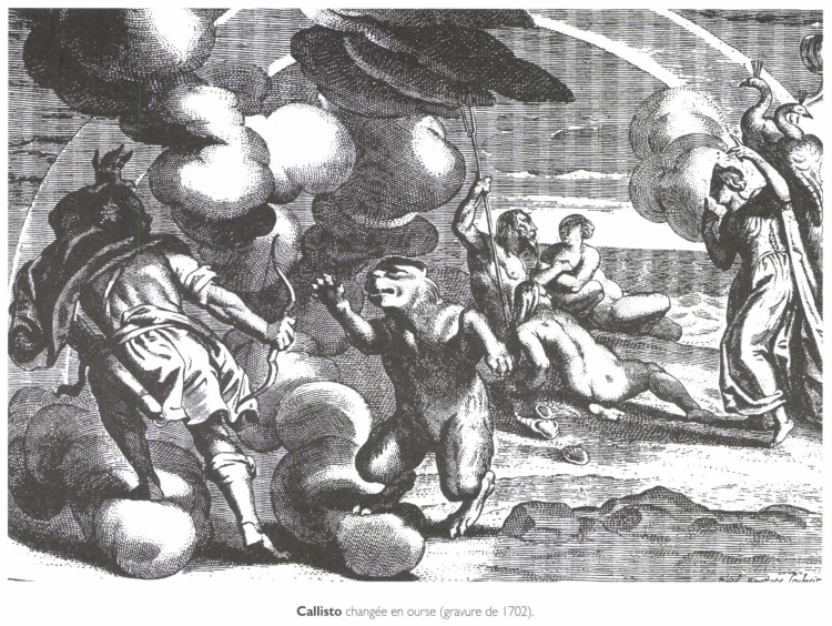 Callisto changée en ourse. Callisto changée en ourse.