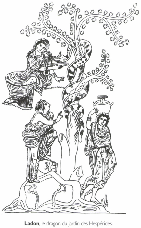 <B>Ladon</B>, le dragon du jardin des Hespérides.