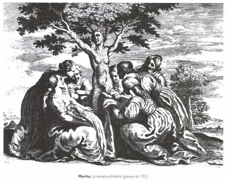 Myrrha. La naissance d'Adonis. Myrrha. La naissance d'Adonis.