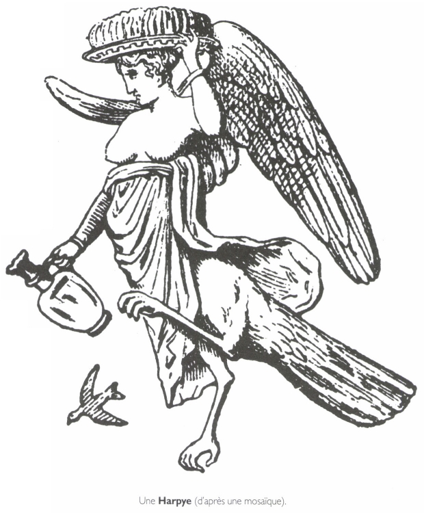 Une Harpye. Une Harpye.