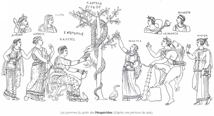 Les pommes du jardin des Hespérides. Les pommes du jardin des Hespérides.