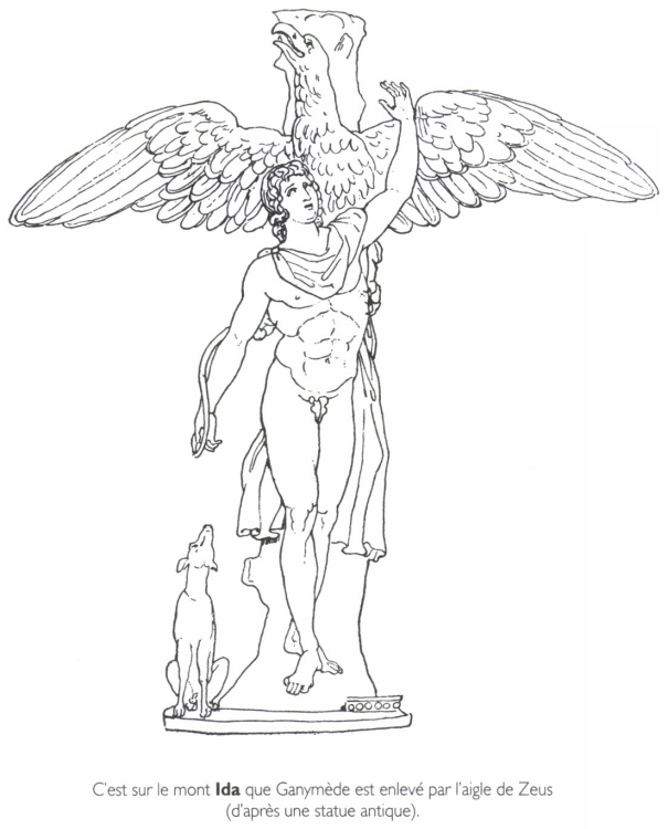 C'est sur le mont <B>Ida</B> que Ganymède est enlevé par l'aigle de Zeus.