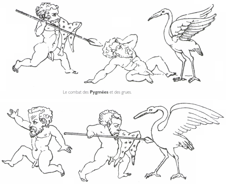 Le combat des Pygmées et des grues. Le combat des Pygmées et des grues.