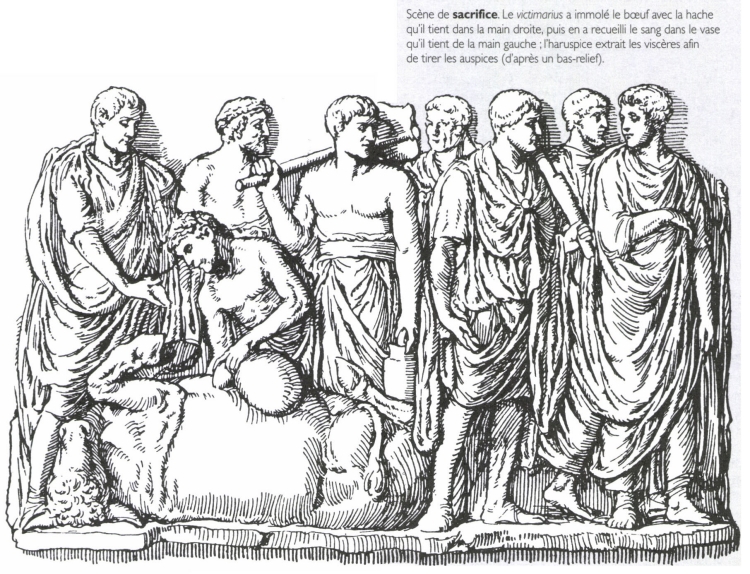 Scène de sacrifice. Le victimarius a immolé le bœuf avec la hache qu'il tient dans la main droite, puis en a recueilli le sang dans le vase qu'il tient de la main gauche. Scène de sacrifice. Le victimarius a immolé le bœuf avec la hache qu'il tient dans la main droite, puis en a recueilli le sang dans le vase qu'il tient de la main gauche.