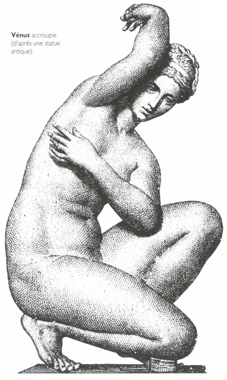 Vénus accroupie. Vénus accroupie.