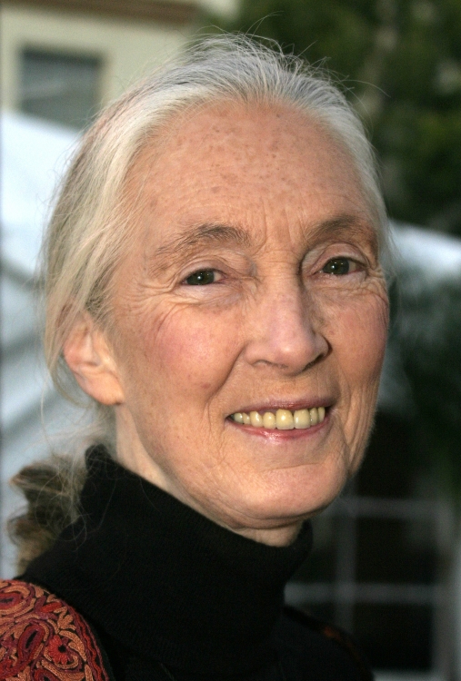 Jane Goodall