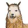 Alpaga