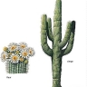 Cactus cierge