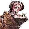 Hippopotame