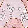 Gastrula