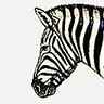 Zèbre