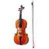 Violon