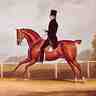 Le duc de Wellington à cheval