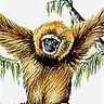 Gibbon Gibbon