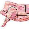 Morceaux de boucherie du porc
