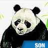 Grognement de panda