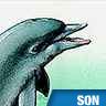 Cri de dauphin tacheté