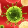 Virus