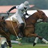 Match de polo