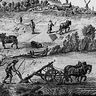Planche extraite de l'Encyclopédie : agriculture et labourage